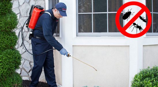 Baklan Kemirgen İlaçlama böcek ilaçlama ve haşere kontrolü — ilaclama-tr.com